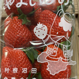 1月21日のおすすめ!いちご『やよいひめ』