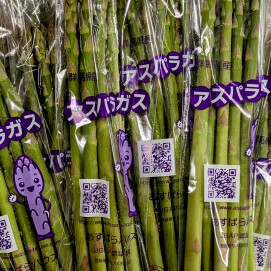 4月10日のおすすめ！群馬県産『アスパラガス』