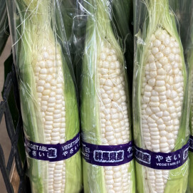 8月12日のおすすめ！とうもろこし『白い惠味』