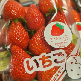 3月15日のおすすめ！クラシックいちご『やよいひめ』🍓