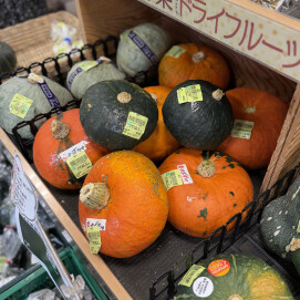 9月14日のおすすめ！群馬県産『かぼちゃ』