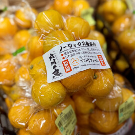 11月2日のおすすめ！『有田みかん』