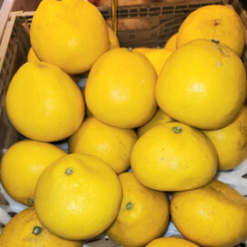 3月3日のおすすめ！『パール柑』