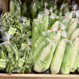 7月5日のおすすめ！古木農園さんの野菜