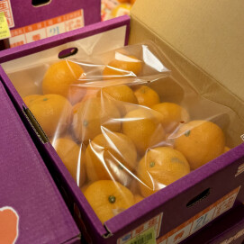 11月19日のおすすめ！箱入り『三ケ日みかん』