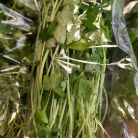 12月30日のおすすめ！年末年始の準備に『三つ葉』