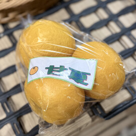 4月10日のおすすめ！『甘夏みかん』