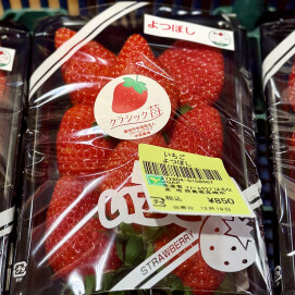 12月20日のおすすめ！自社農園栽培いちご『よつぼし』