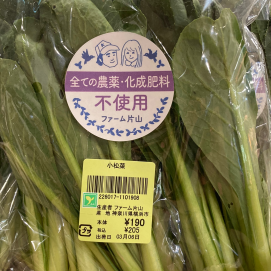 3月6日のおすすめ！ ファーム片山さんの『小松菜』