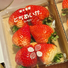 2月8日のおすすめ！いちご『とちあいか』
