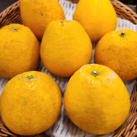 4月7日のおすすめ！『宇和ゴールド』