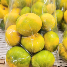 9月22日のおすすめ!『熊本みかん』🍊