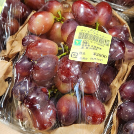 9月28日のおすすめ！古屋農園 ぶどう🍇『オリエンタルスター』