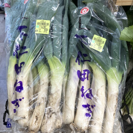 11月18日のおすすめ！群馬の名産品『下仁田ねぎ』