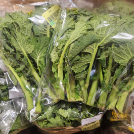 2月20日のおすすめ！『菜花』と『紅菜苔』