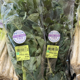 2月7日のおすすめ！ファーム片山さんの「ブロッコリーの葉」