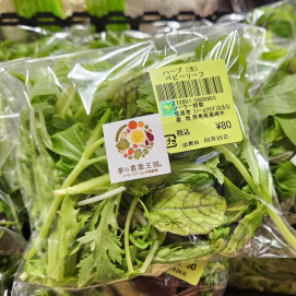 3月28日のおすすめ！自社農園産『ベビーリーフ』