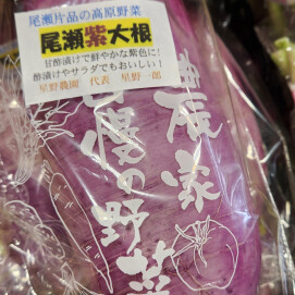 11月4日のおすすめ！『紫大根』