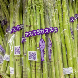 7月28日のおすすめ！群馬県産『アスパラガス』