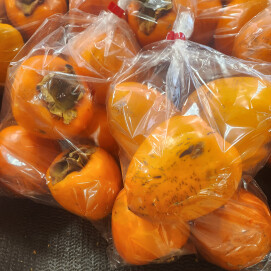 11月21日のおすすめ！『百目柿（渋柿）』