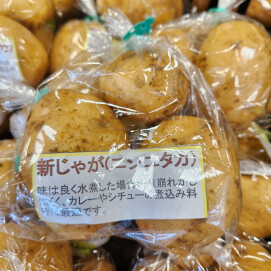 4月8日のおすすめ！🥔新じゃがいも🥔『ニシユタカ』