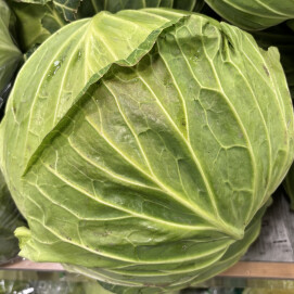 3月14日のおすすめ！群馬県産『キャベツ』