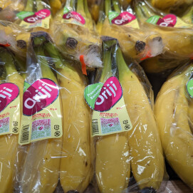 11月8日のおすすめ！【特別価格】『インドネシア産バナナ』