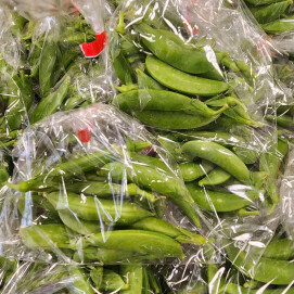 1月12日のおすすめ！『スナップえんどう』