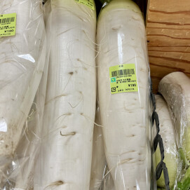 4月27日のおすすめ！種類いろいろ！古木農園の野菜
