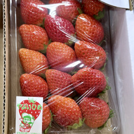 3月26日のおすすめ！いちご『やよいひめ』