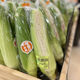 6月29日のおすすめ！古木農園さんの野菜