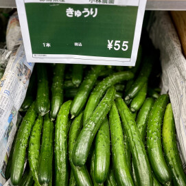 6月9日のおすすめ！群馬県産『きゅうり』