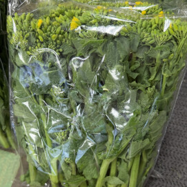 3月5日のおすすめ！横浜市産『菜花』