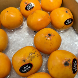 12月6日のおすすめ！鳥取県産『こおげ花御所柿』