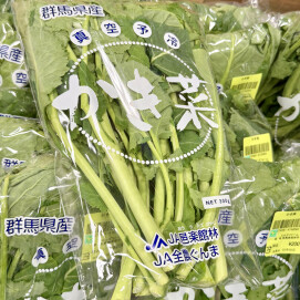 3月8日のおすすめ！春を呼ぶ野菜『かき菜』