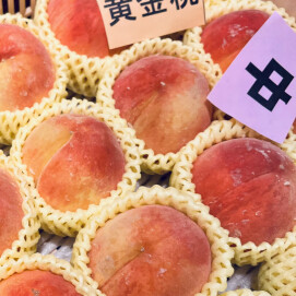 9月13日のおすすめ！山梨県産 『桃（黄金桃）』