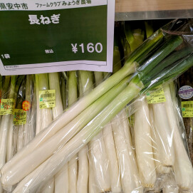 2月20日のおすすめ！自社農園生産『長ねぎ』
