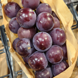 9月3日のおすすめ！ぶどう『藤稔（ふじみのり）』🍇