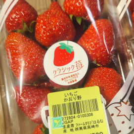 5月11日のおすすめ！クラシックいちご2種🍓『かおり野』『ベリーポップすず』