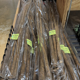 3月16日のおすすめ『ごぼう』