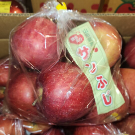 1月16日のおすすめ!山形県産りんご『サンふじ』