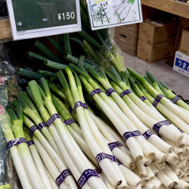 1月25日のおすすめ！自社農園生産『長ねぎ』
