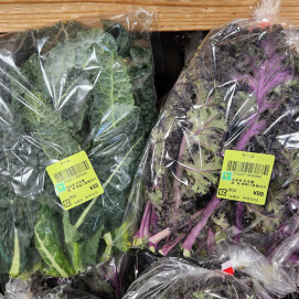 4月2日のおすすめ！折本園『ケール』2種