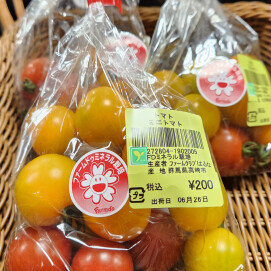 6月26日のおすすめ！自社農園栽培の『ミニトマト（ミックス）』🍅