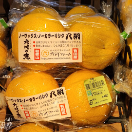 1月27日のおすすめ！和歌山県産『はっさく』