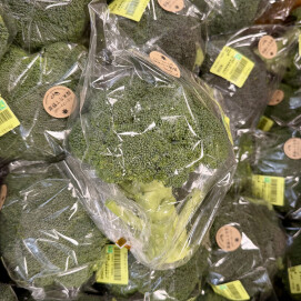 11月16日のおすすめ！ハミーファームさんの『ブロッコリー』