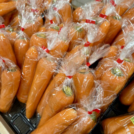 11月26日のおすすめ！『にんじん』