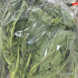 3月18日のおすすめ！春を呼ぶ野菜『のらぼう菜』