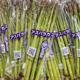 3月27日のおすすめ!群馬県産『アスパラガス』
