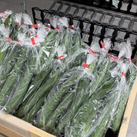 4月19日のおすすめ！自社農園産『きゅうり』